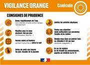 2025-06-20_Vigilance-orange-canicule (1)