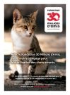 Stérilisation des chats errants