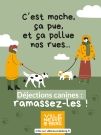 Déjections canines : plus de civisme pour un meilleur cadre de vie!