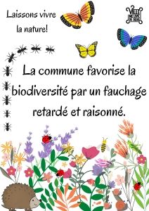 fauchage et biodiversité-001