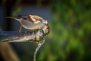 Restriction des usages de l'eau - AP du 6 octobre 2022