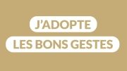 Les bonnes pratiques